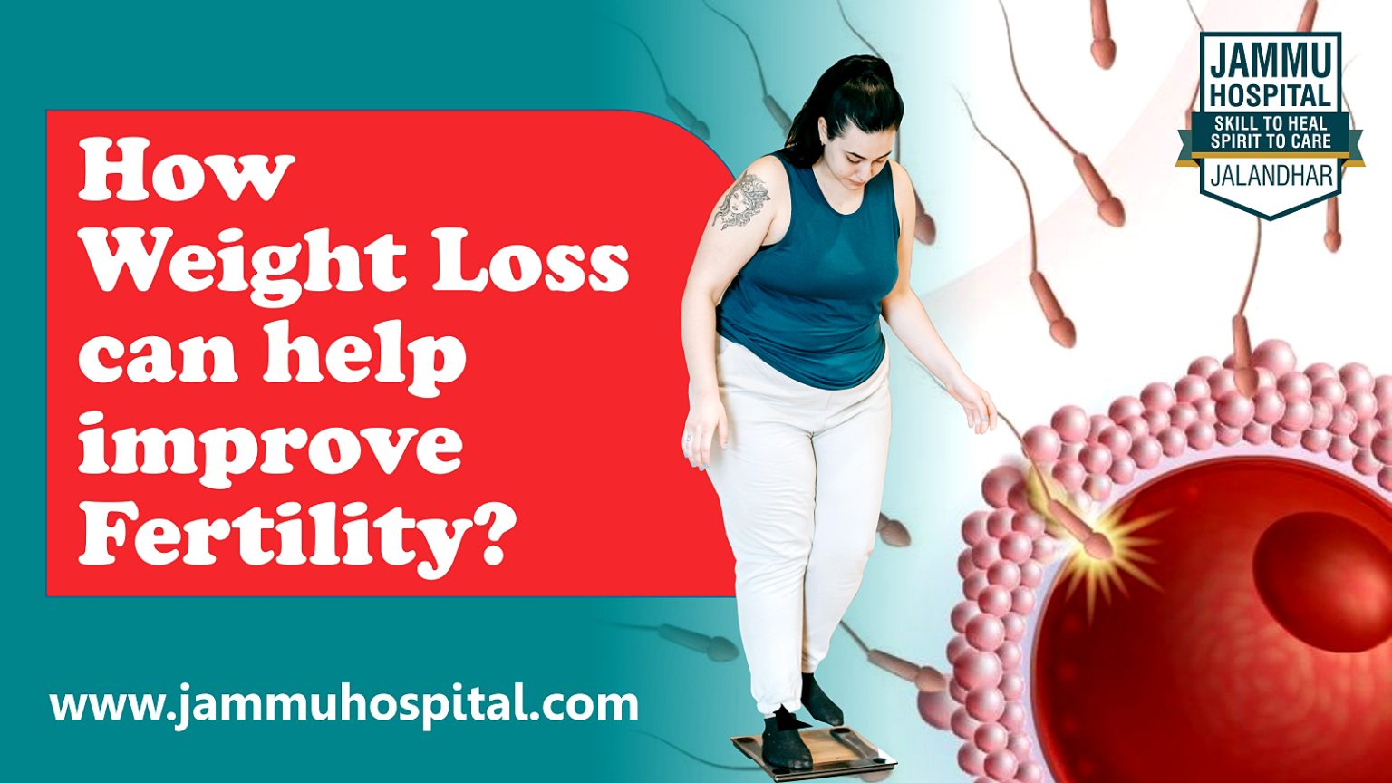 How weight loss can help improve fertility?